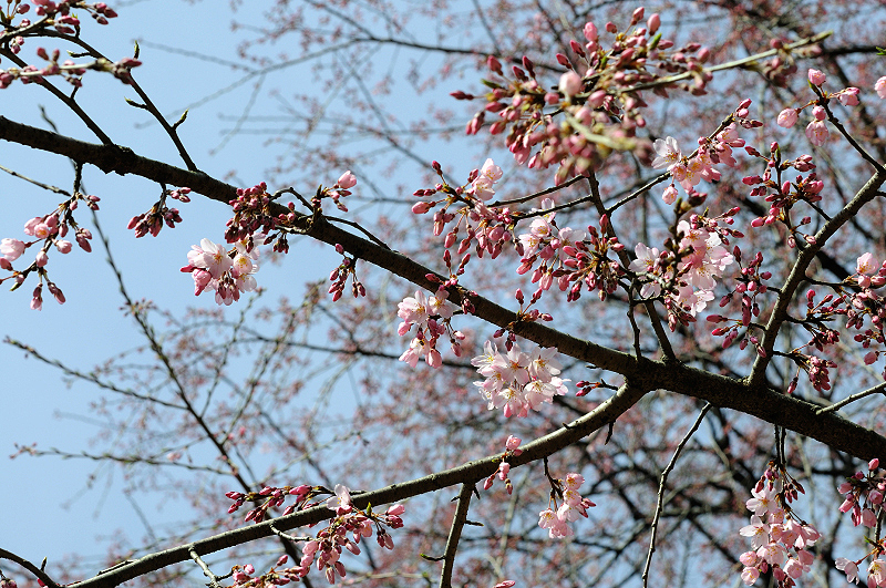 image0204