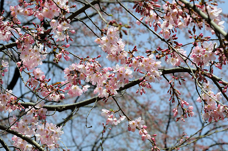 image0205