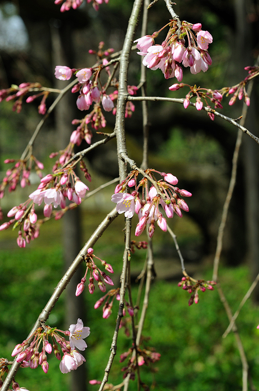 image0209