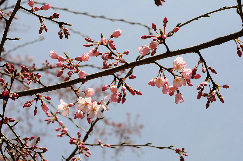 image0211