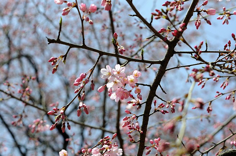 image0212