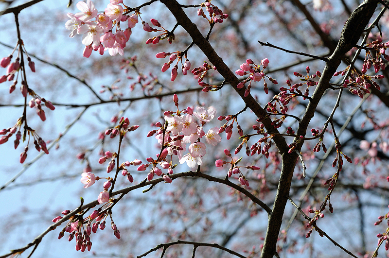 image0213