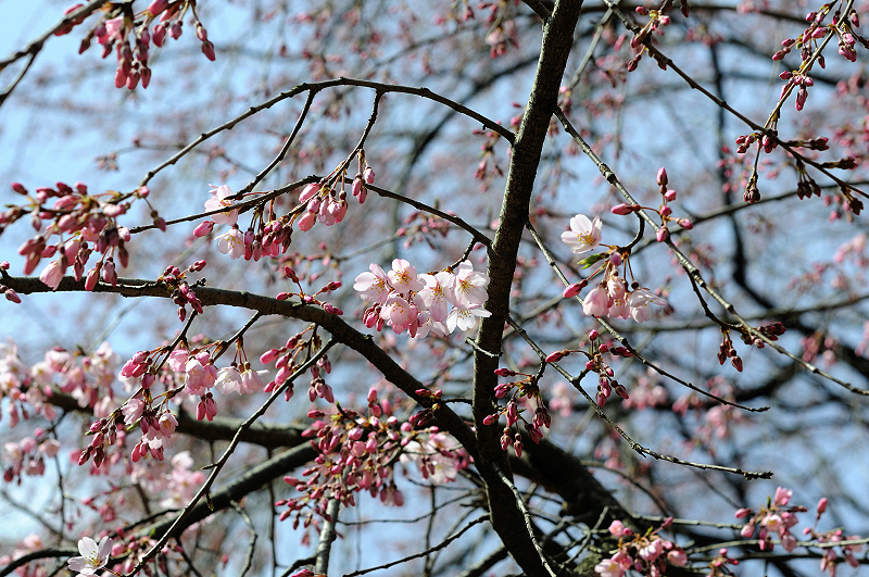 image0214