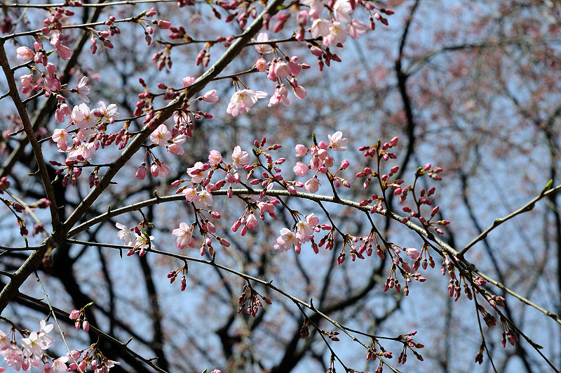 image0216