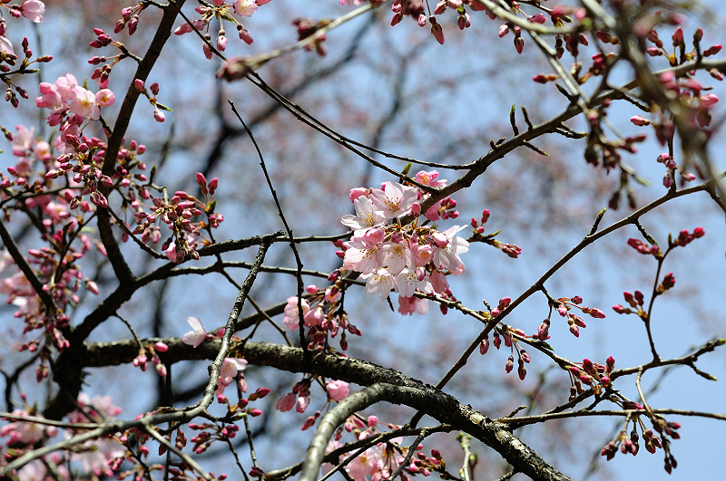 image0217