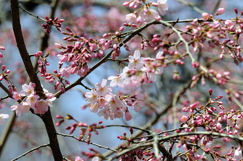image0218