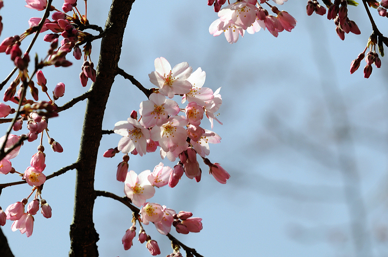 image0224