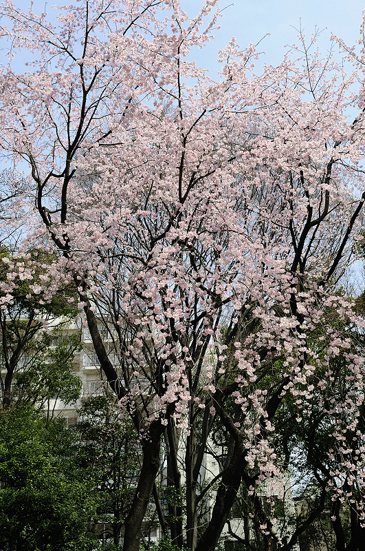 image0226