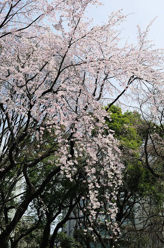 image0227