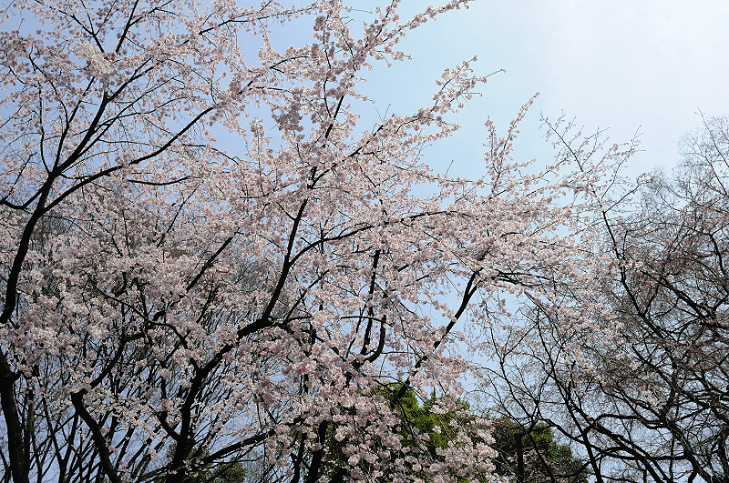 image0228