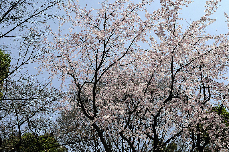 image0229