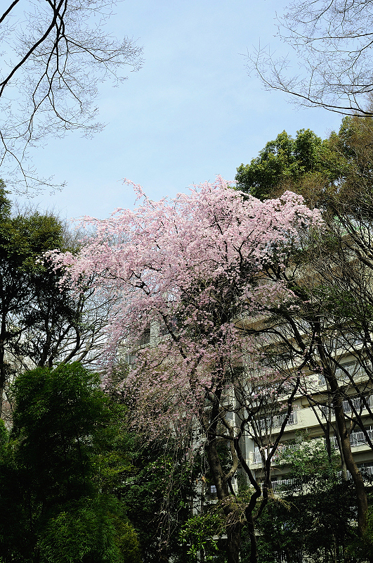 image0230