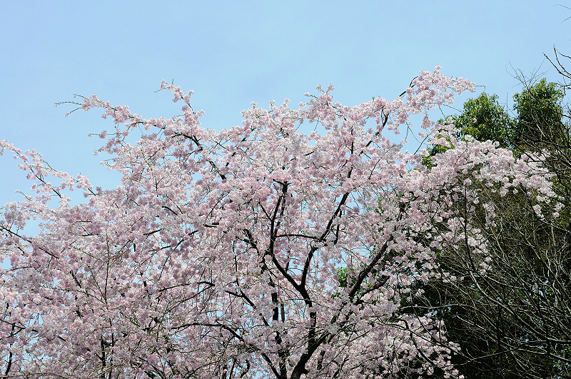 image0232