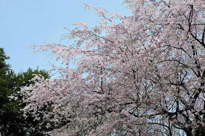 image0233