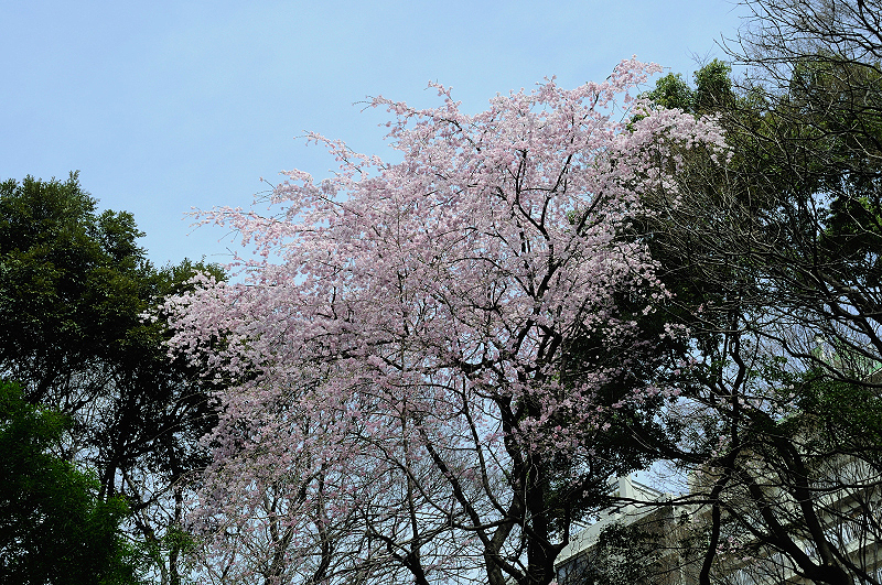 image0234
