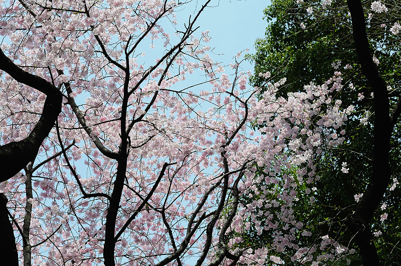 image0235