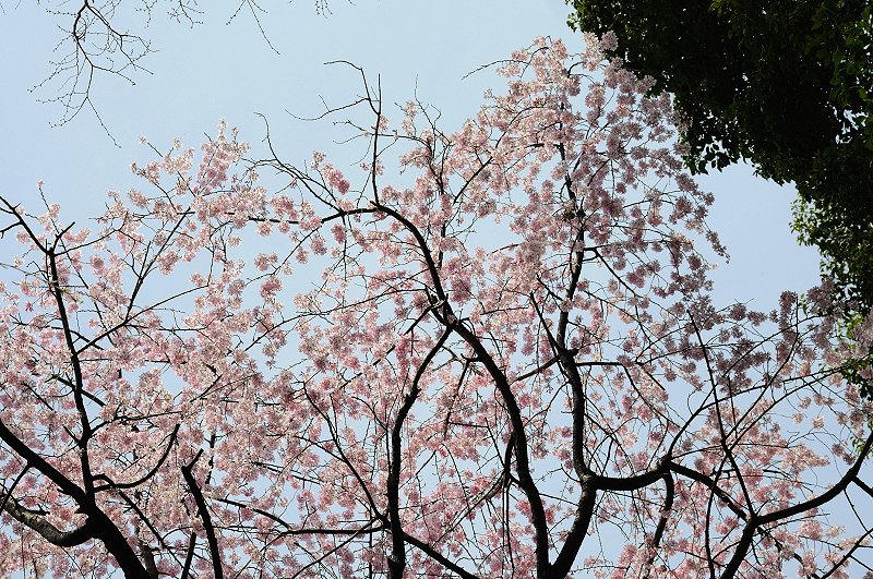 image0237