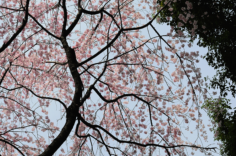image0238