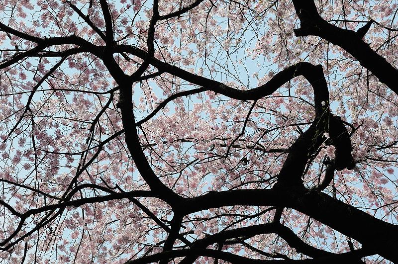 image0239