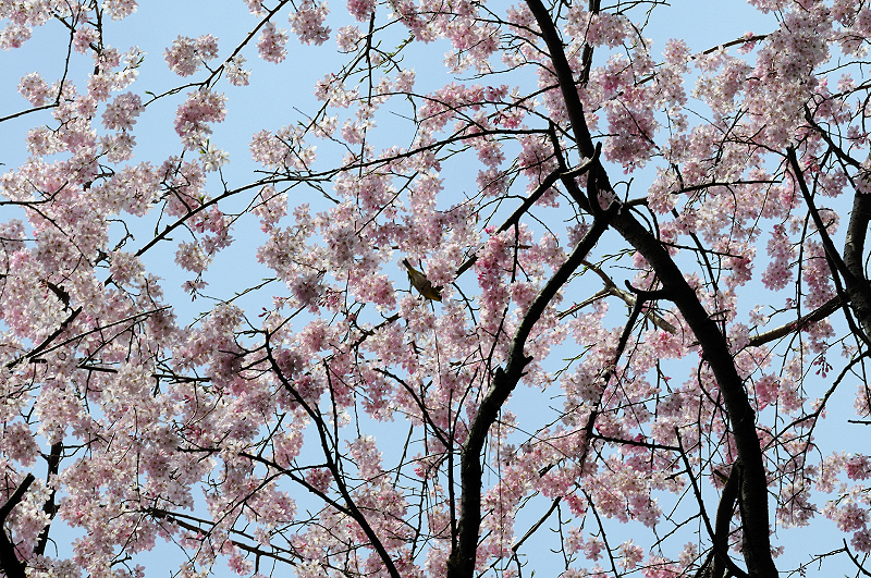 image0241