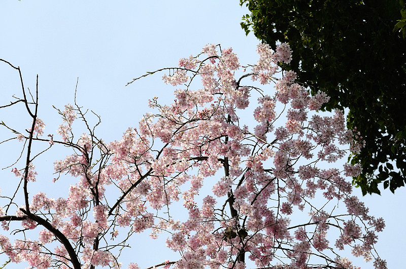 image0242