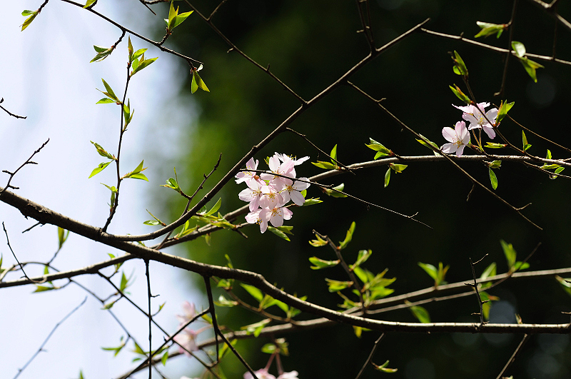 image0245
