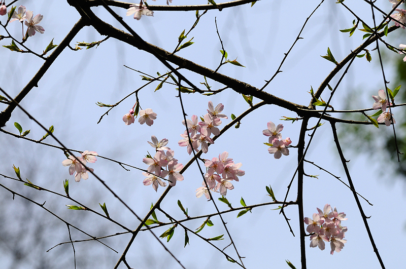 image0246