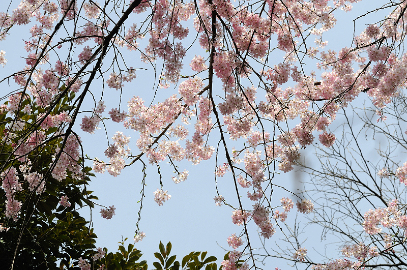 image0251