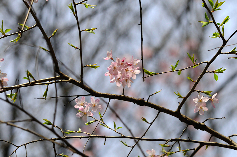 image0252