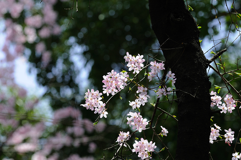 image0253