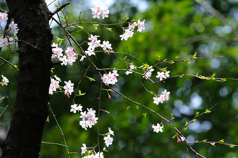 image0254