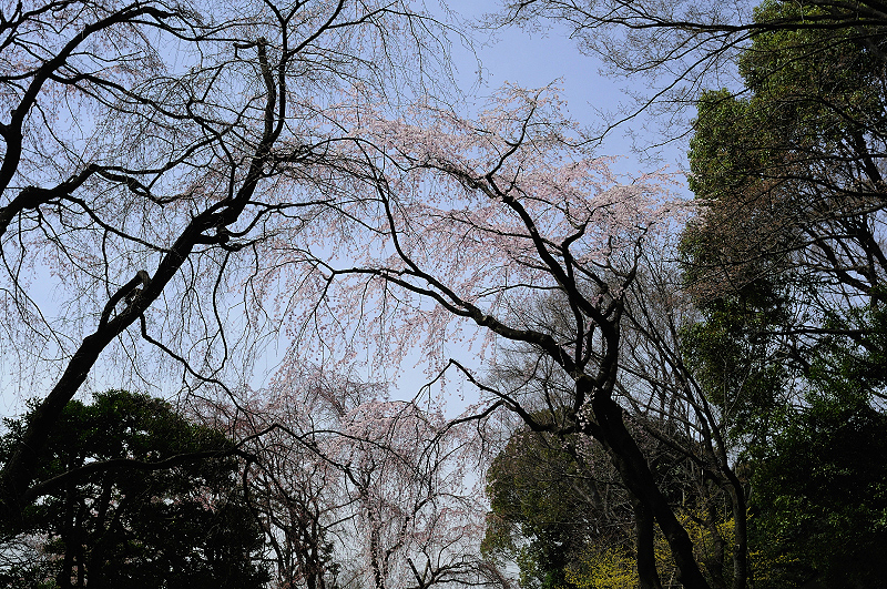 image0258