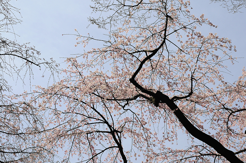 image0260