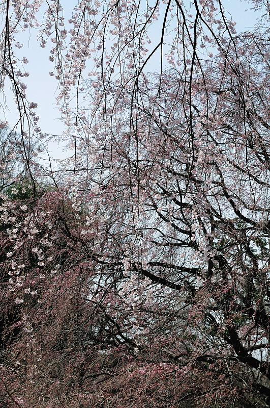 image0261