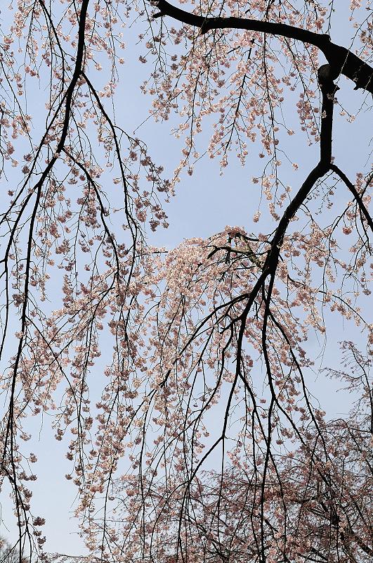 image0262