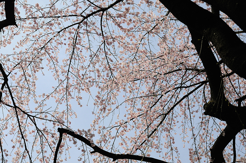 image0263