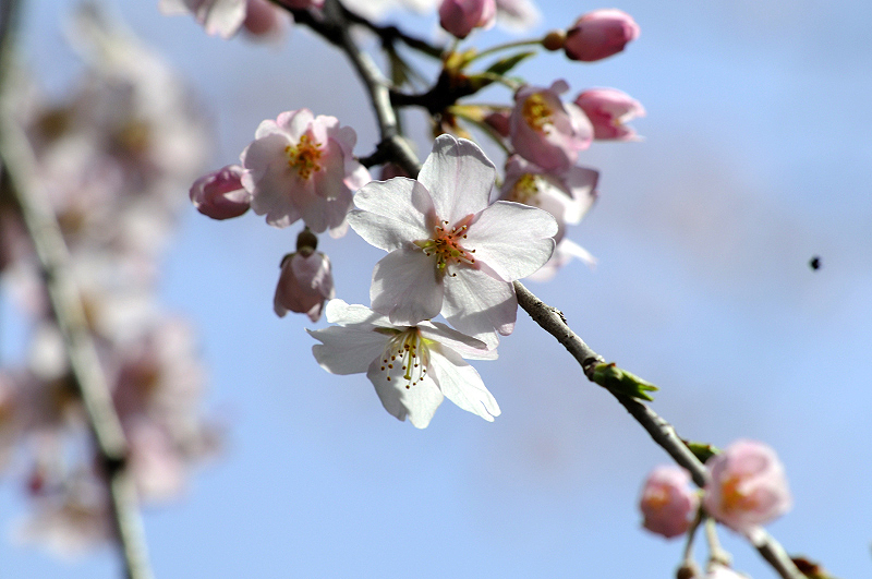 image0270