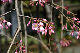 image0132