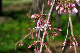 image0133