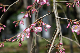 image0134