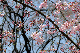 image0136