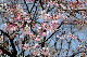 image0137