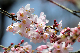 image0139