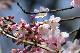 image0142