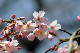 image0143