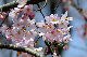 image0144