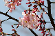 image0146