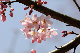 image0147