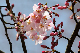 image0148