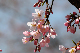 image0149